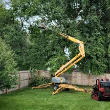 Best Stump Grinding and Removal  in Bayard, NE